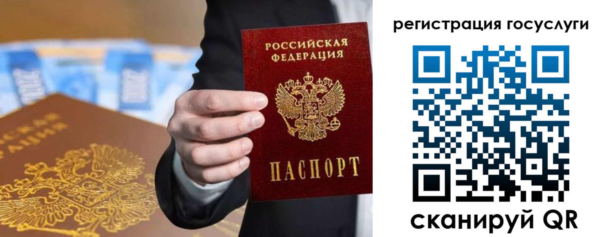 прописка в Фокино
